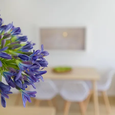 Διαμέρισμα Casa Anzuelo, Πουέρτο Ντελ Κάρμεν